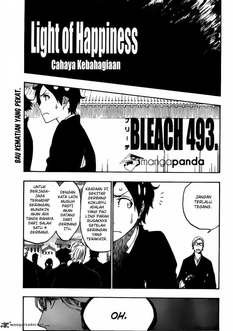 Bleach Chapter 493 - halaman 16