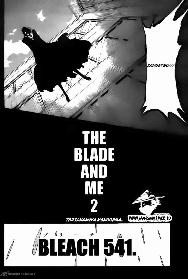 Bleach Chapter 541 - halaman 5