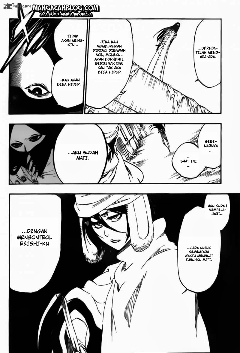 Bleach Chapter 567 - halaman 14