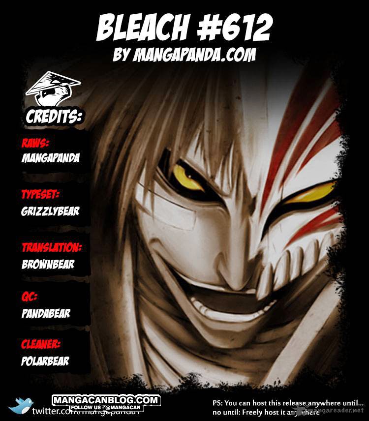 Bleach Chapter 612 - halaman 17
