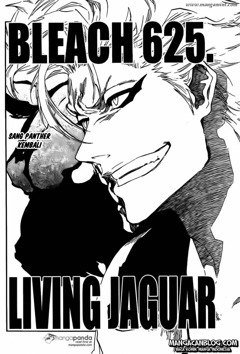 Bleach Chapter 625 - halaman 2