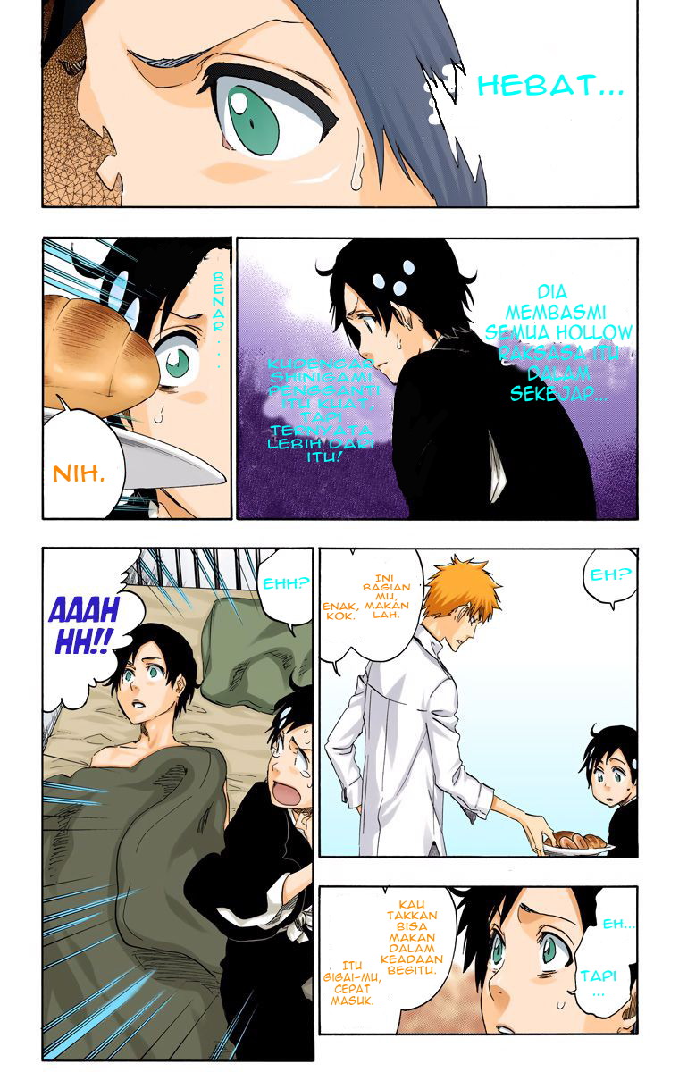Bleach (Official Colored) Chapter 481 - halaman 11