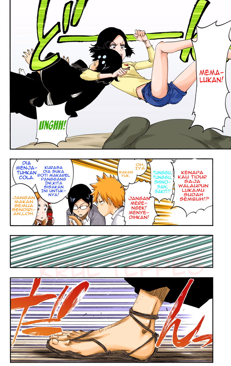 Bleach (Official Colored) Chapter 481 - halaman 13