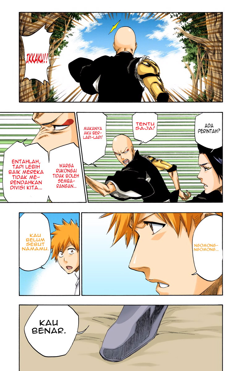 Bleach (Official Colored) Chapter 481 - halaman 14