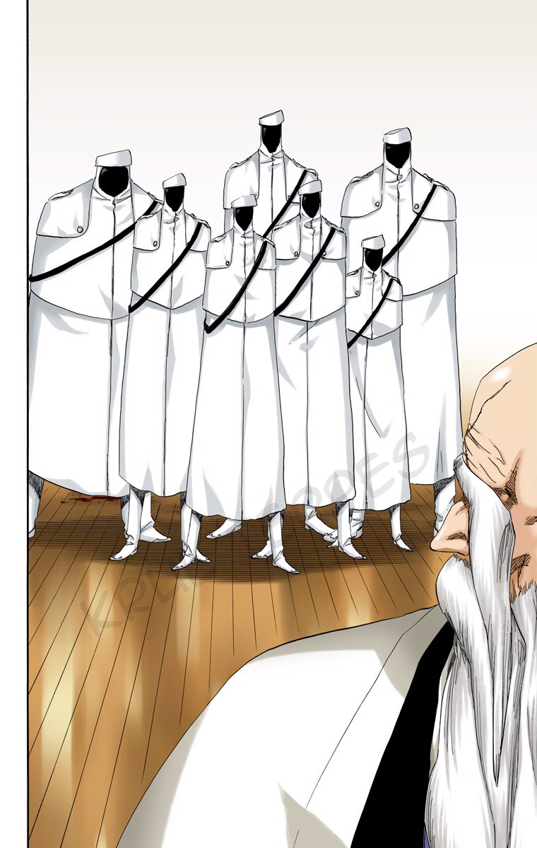 Bleach (Official Colored) Chapter 482 - halaman 16