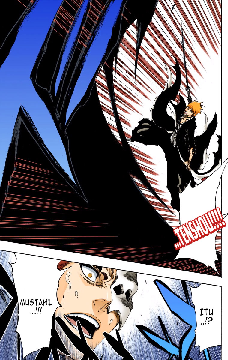 Bleach (Official Colored) Chapter 483 - halaman 16