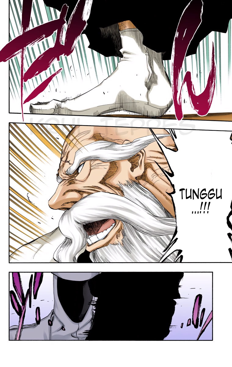 Bleach (Official Colored) Chapter 484 - halaman 4