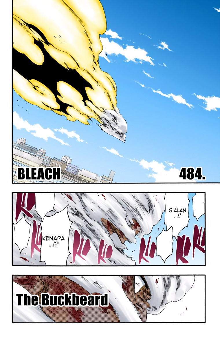 Bleach (Official Colored) Chapter 484 - halaman 8