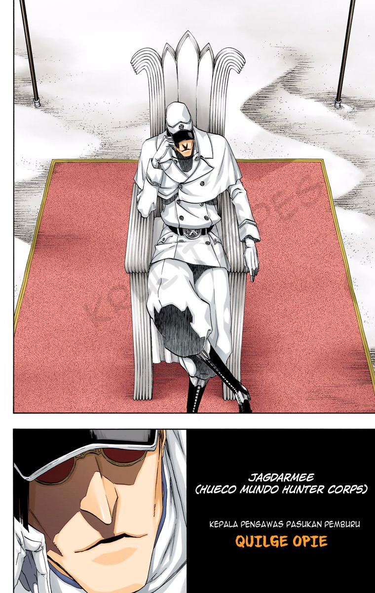 Bleach (Official Colored) Chapter 487 - halaman 10
