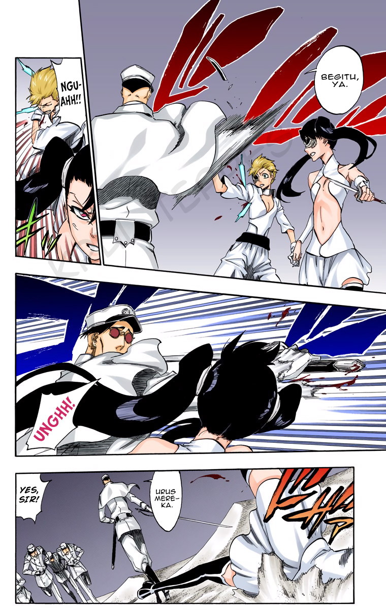 Bleach (Official Colored) Chapter 487 - halaman 16