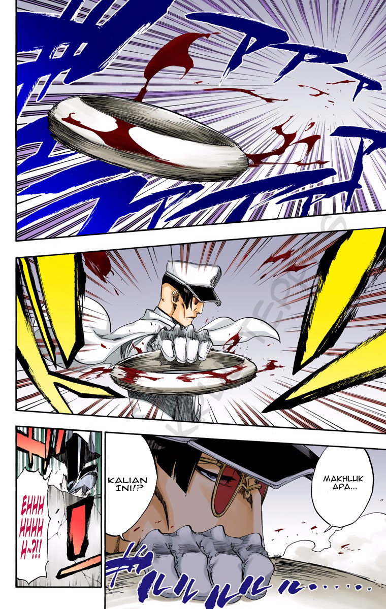 Bleach (Official Colored) Chapter 487 - halaman 18
