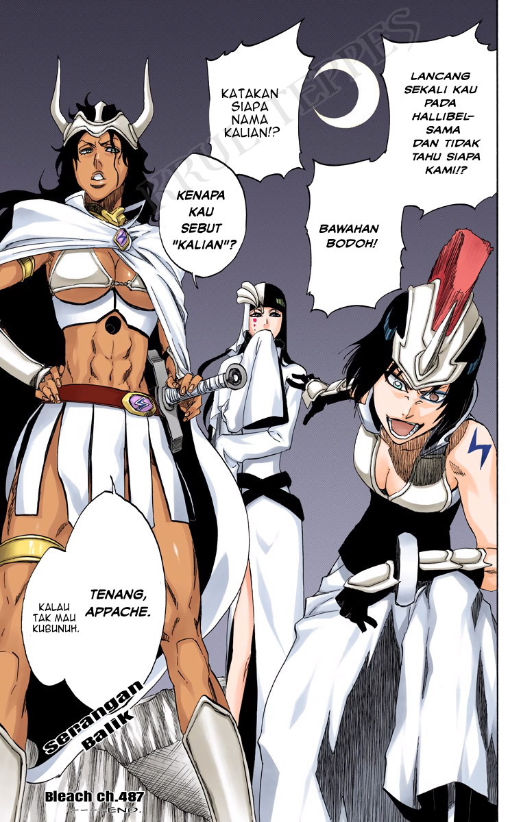 Bleach (Official Colored) Chapter 487 - halaman 19
