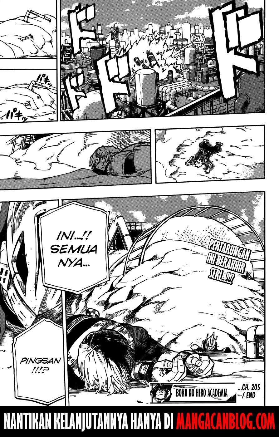 Boku no Hero Academia Chapter 205 - halaman 16
