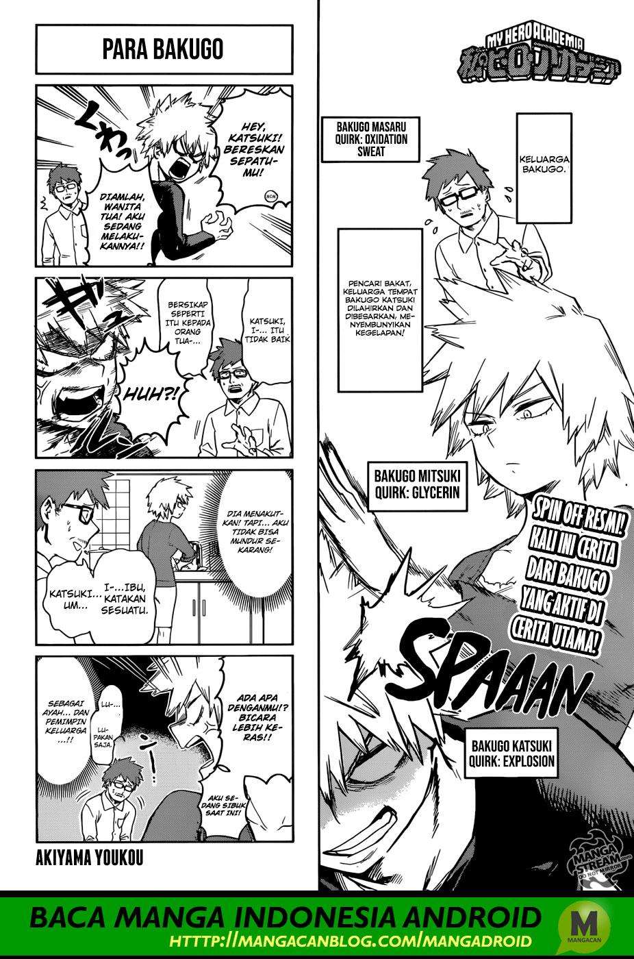 Boku no Hero Academia Chapter 207 - halaman 15