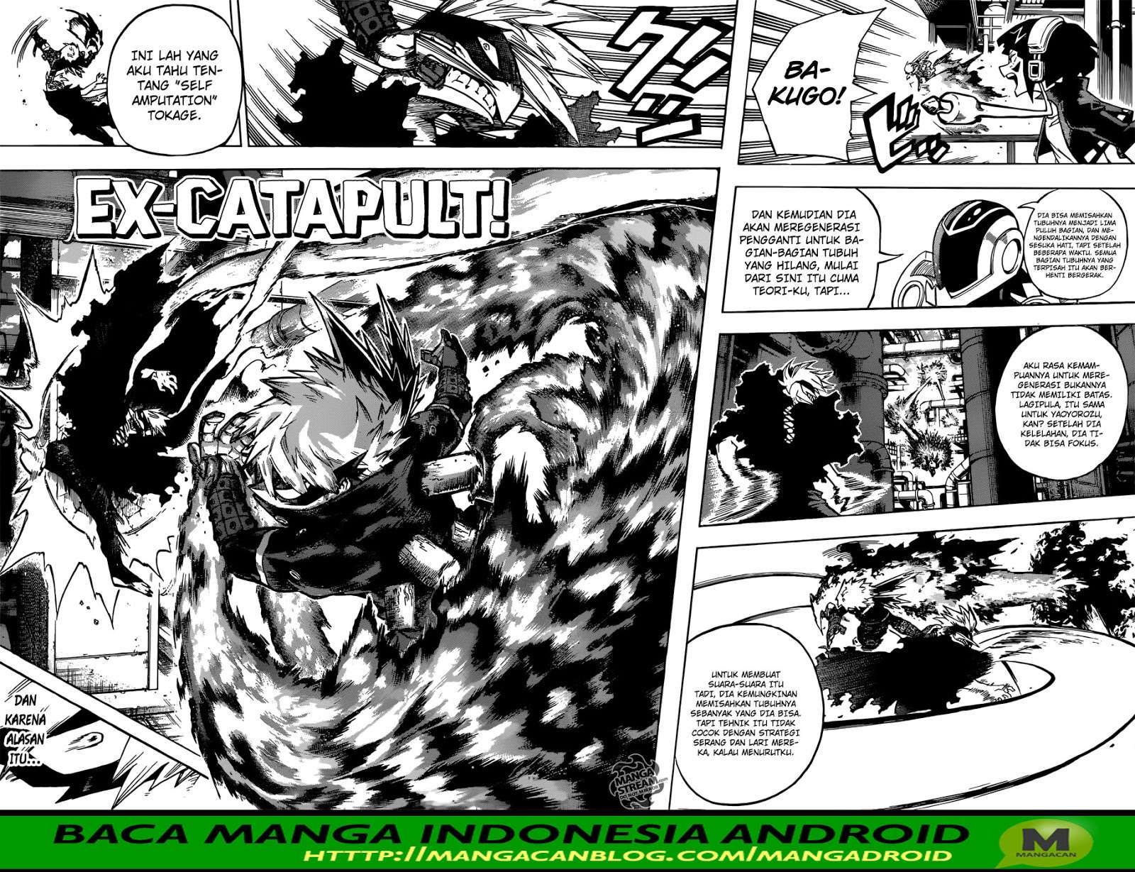 Boku no Hero Academia Chapter 208 - halaman 12
