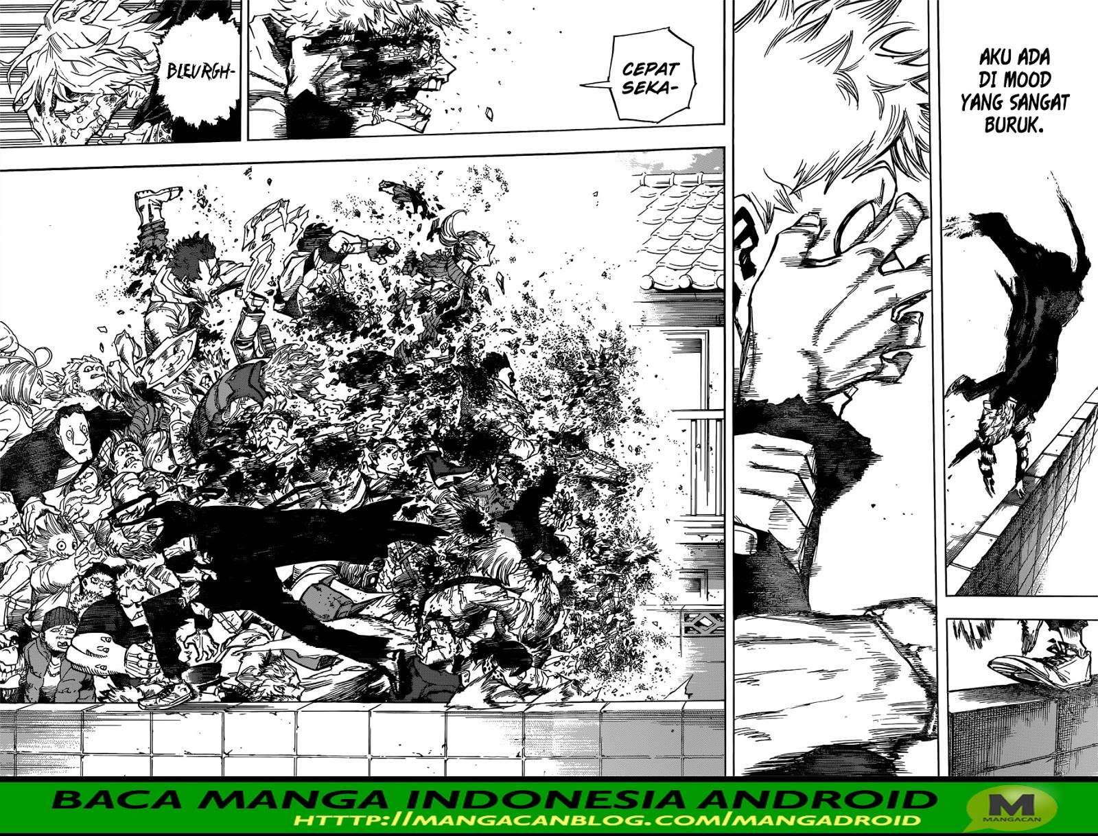 Boku no Hero Academia Chapter 227 - halaman 13