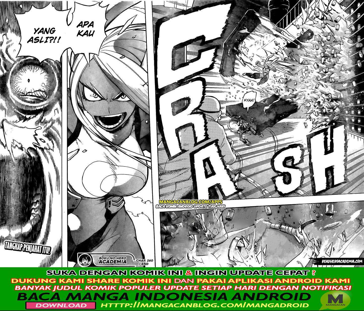 Boku no Hero Academia Chapter 260 - halaman 14