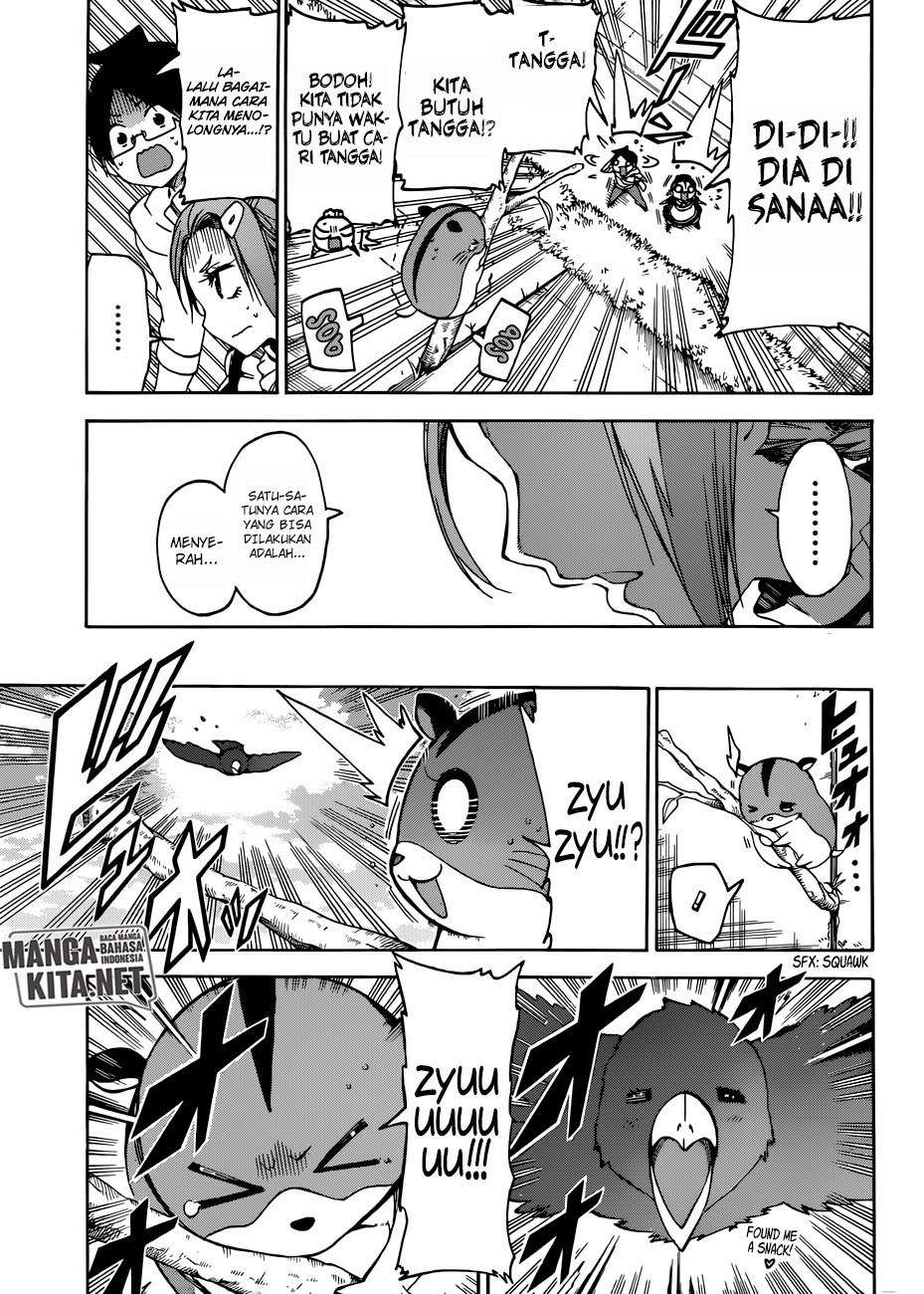 Bokutachi wa Benkyou ga Dekinai Chapter 71 - halaman 14