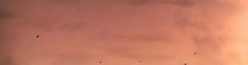 Boundless Necromancer Chapter 101 - halaman 55