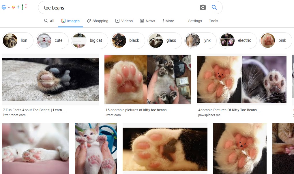 Cats Own the World Chapter 8 - halaman 6