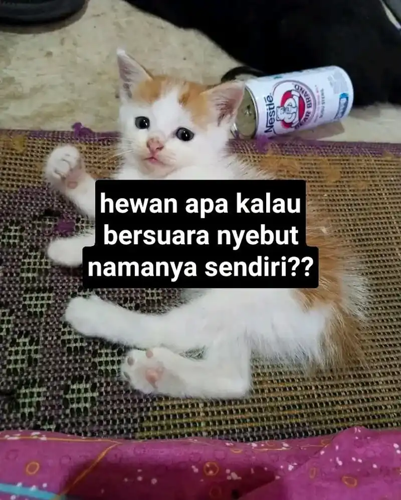 The Classmate Chapter 11 - halaman 87