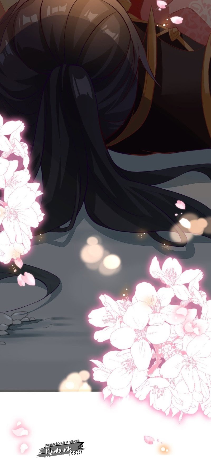 Crossing the Adorable Concubine to Counter Attack Chapter 0 - halaman 7