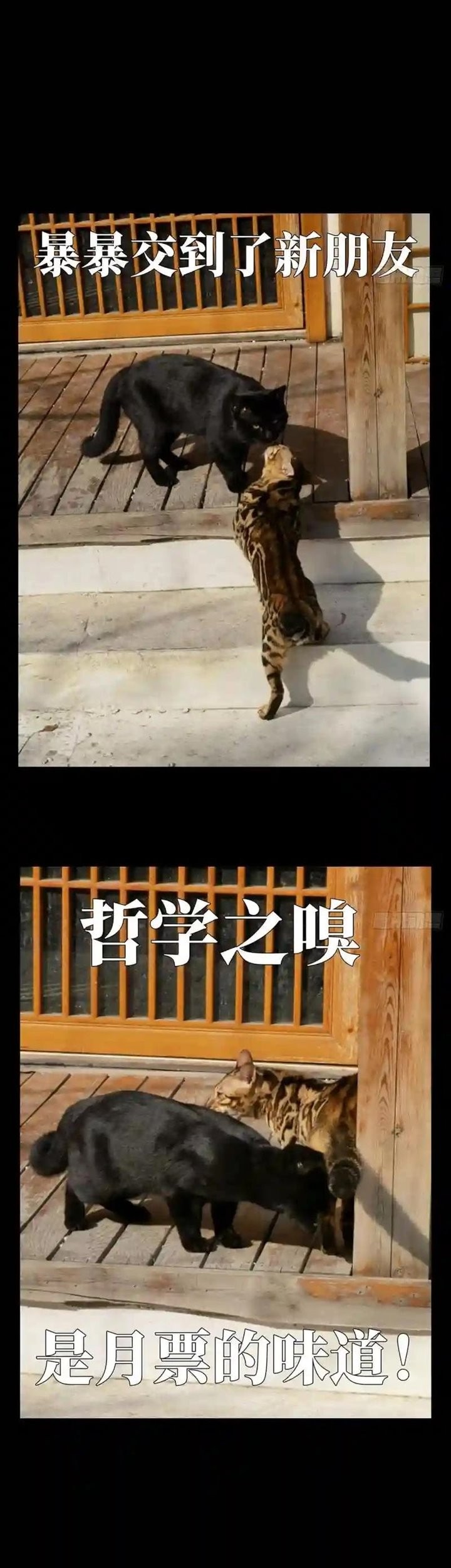 Da Xiang Wuxing Chapter 117 - halaman 26
