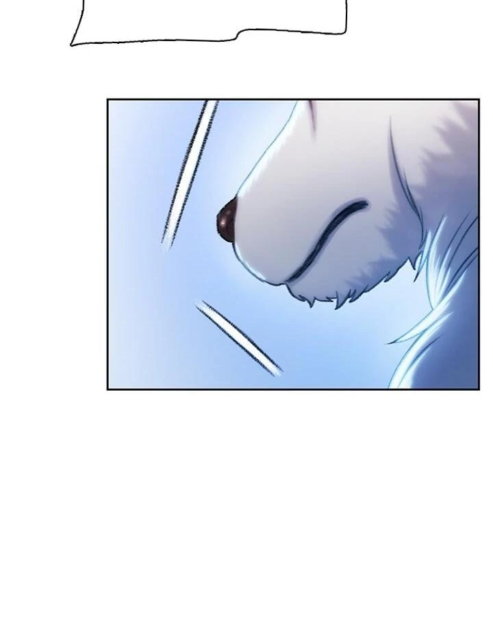 Dark Moon: The Grey City Chapter 20 - halaman 144
