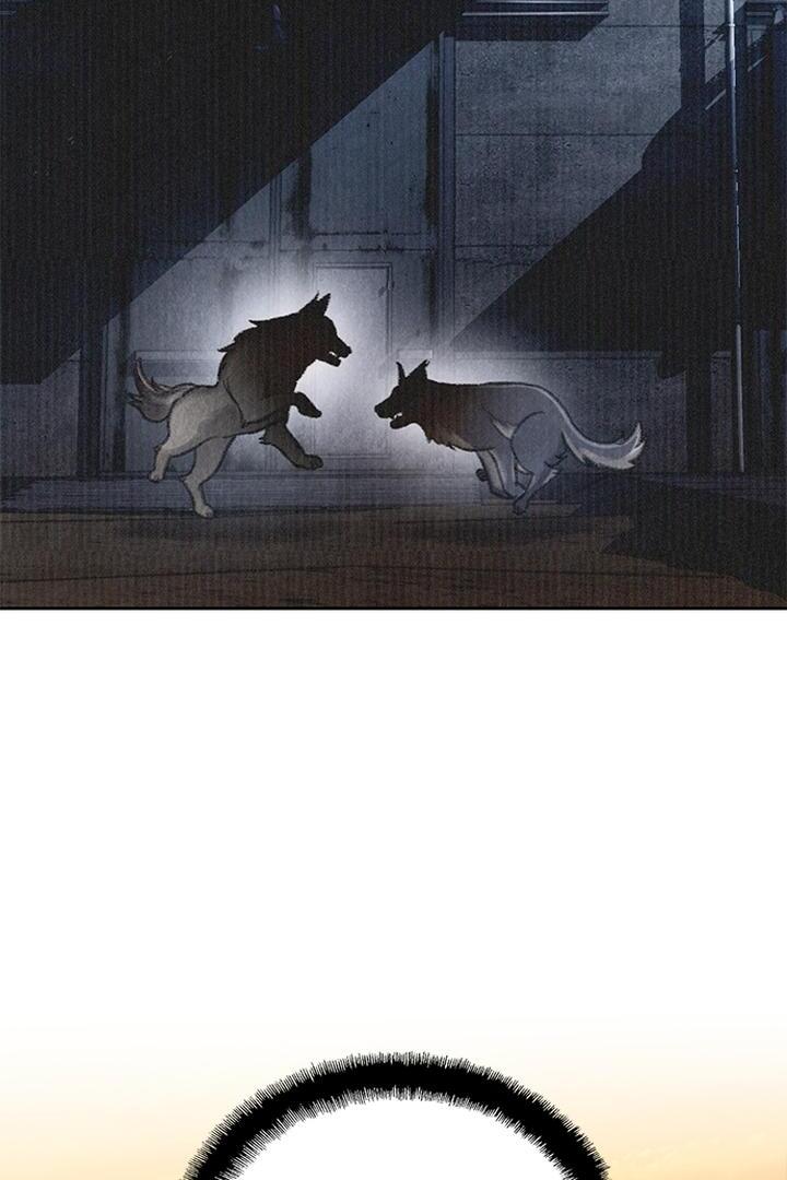Dark Moon: The Grey City Chapter 25 - halaman 20