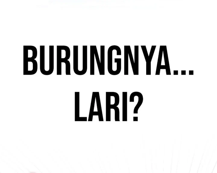 Debut or Die Chapter 80 - halaman 44