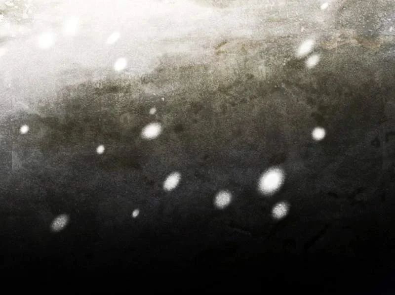 Defiance Of The Fall Chapter 28 - halaman 33