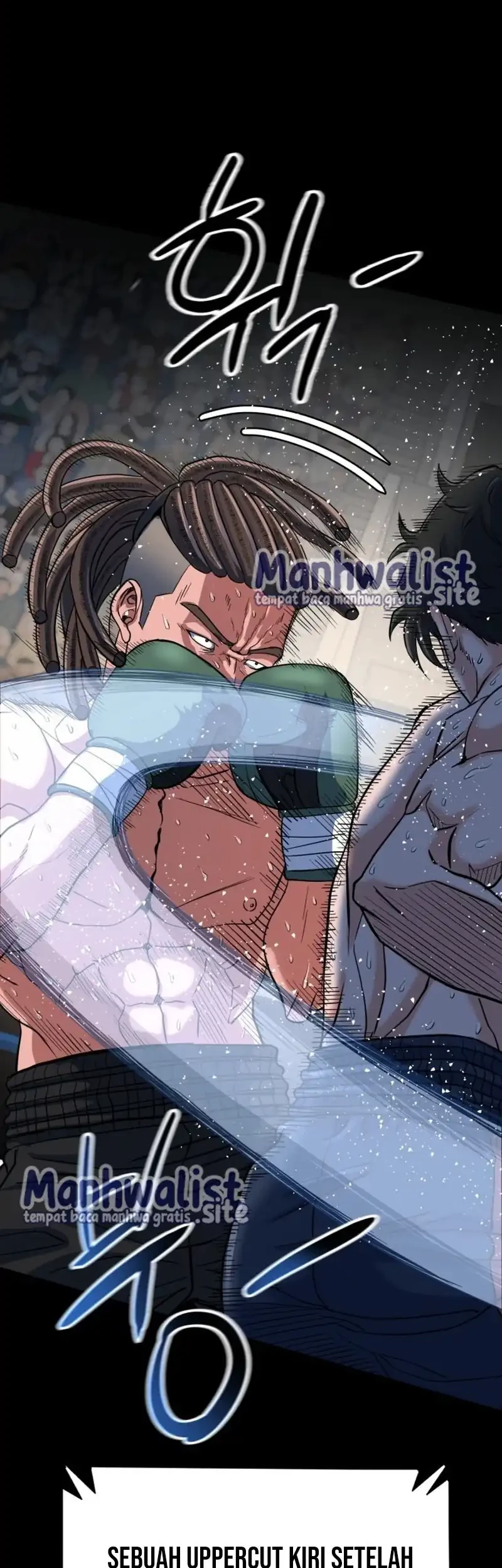 D.Gray-man Chapter 242 - halaman 13