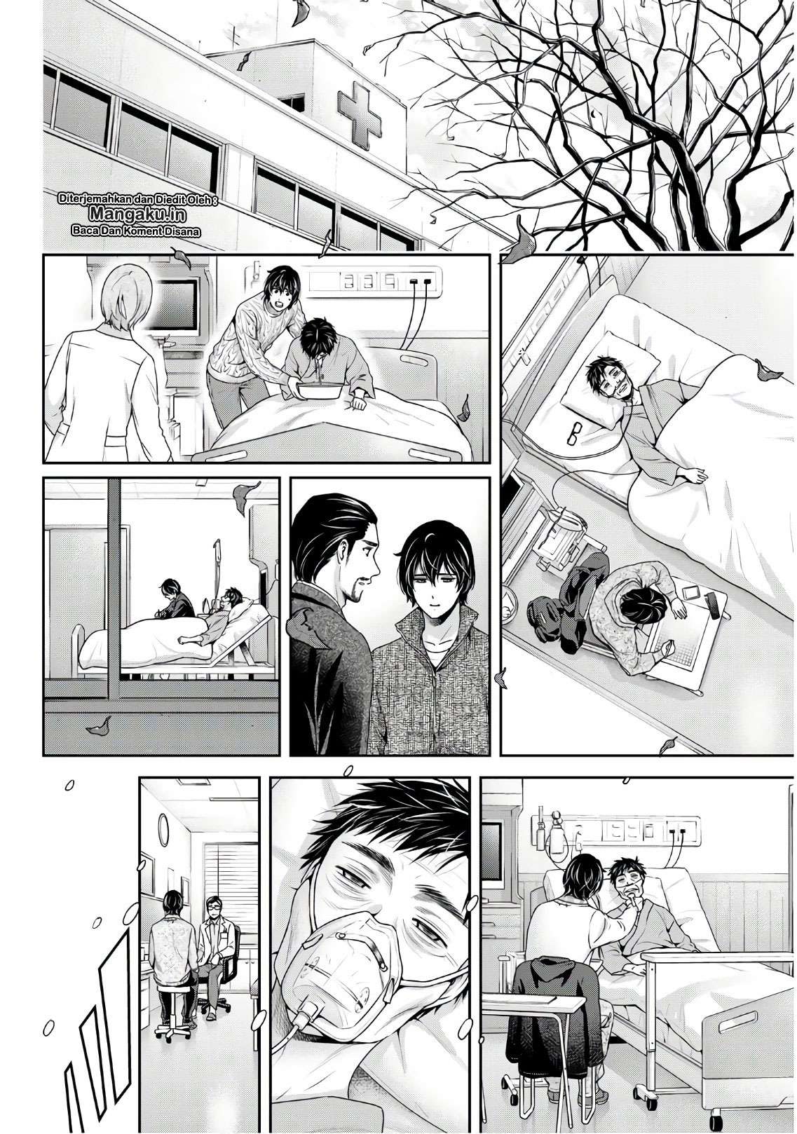 Domestic na Kanojo Chapter 254 - halaman 17
