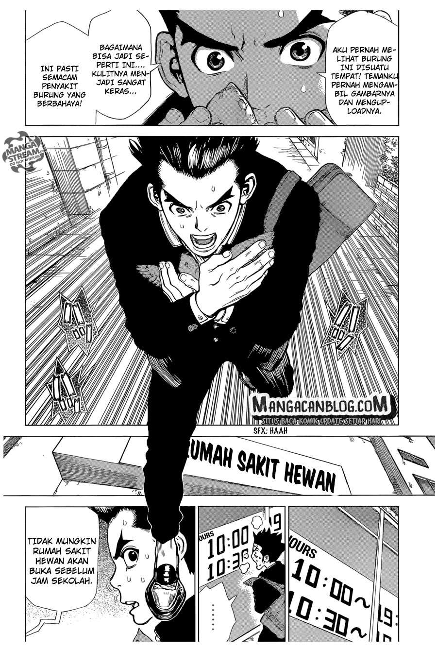 Dr. Stone Chapter 1 - halaman 19