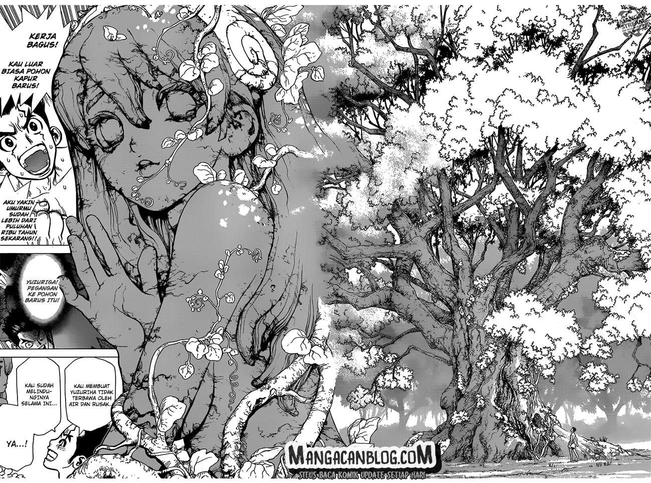 Dr. Stone Chapter 1 - halaman 33