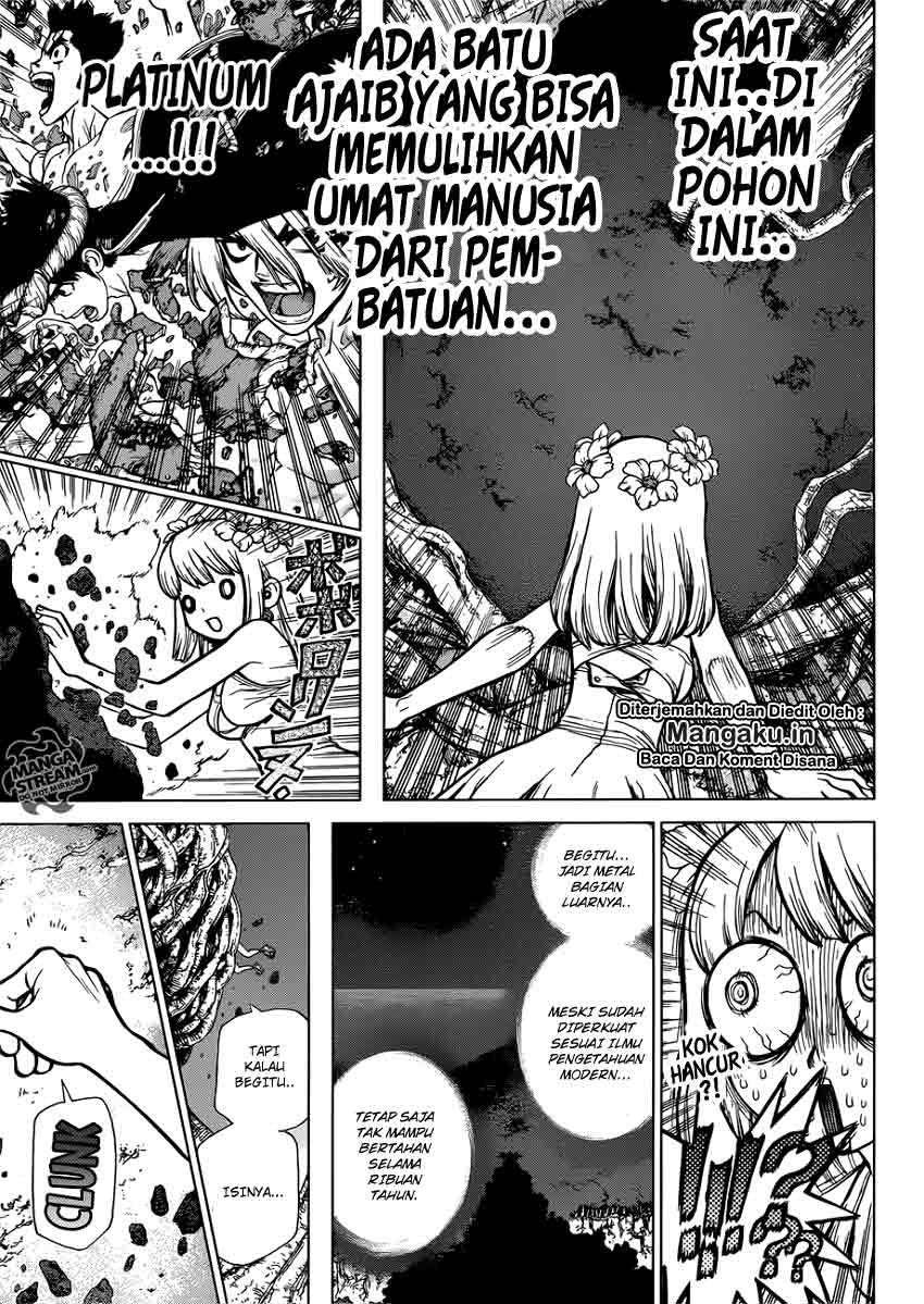 Dr. Stone Chapter 114 - halaman 4