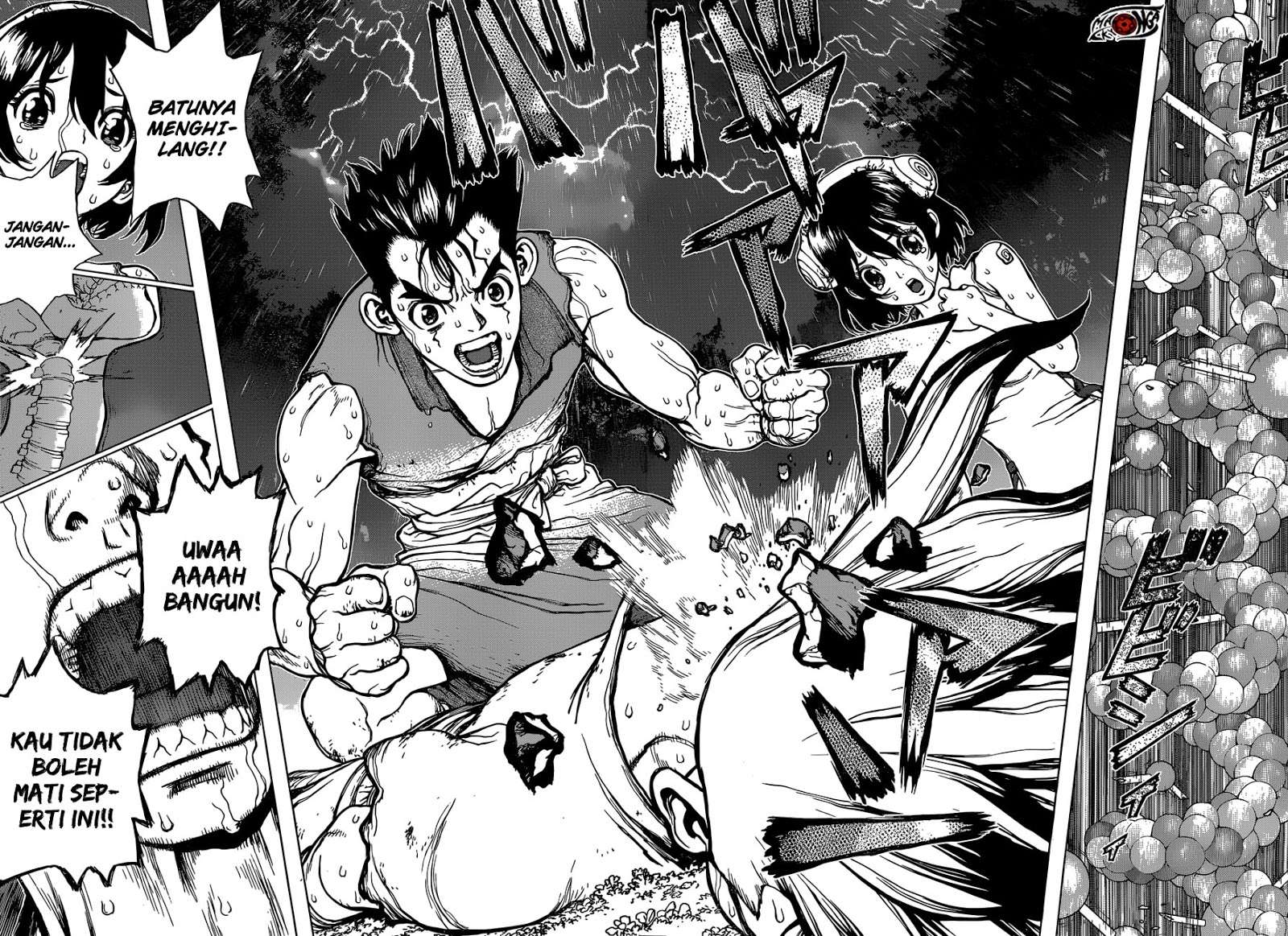Dr. Stone Chapter 12 - halaman 15