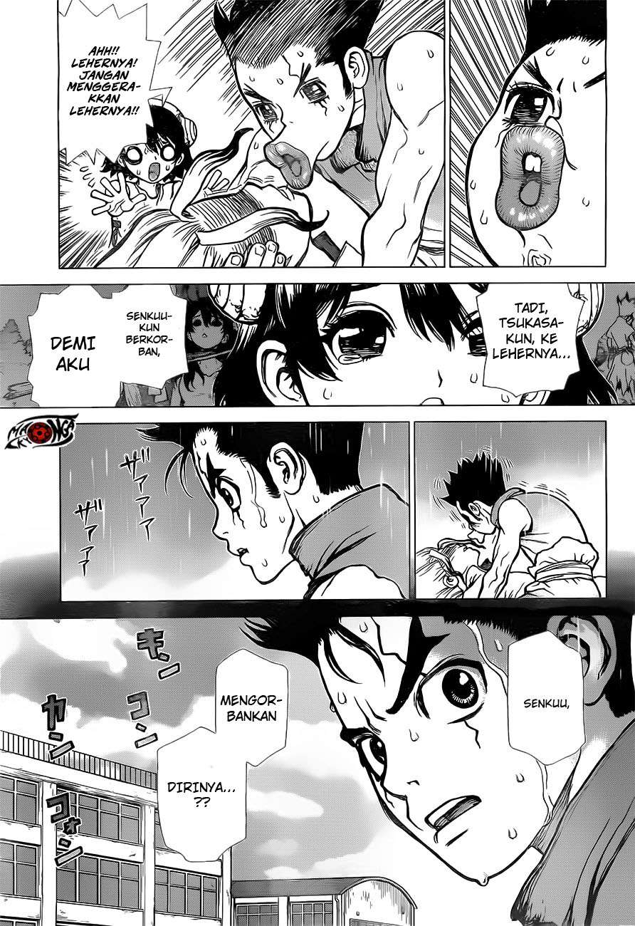 Dr. Stone Chapter 12 - halaman 8