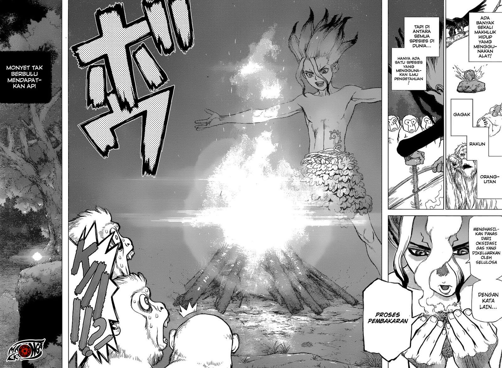 Dr. Stone Chapter 13 - halaman 16