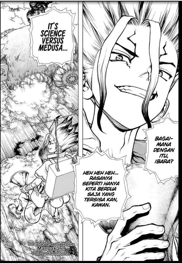 Dr. Stone Chapter 134 - halaman 19