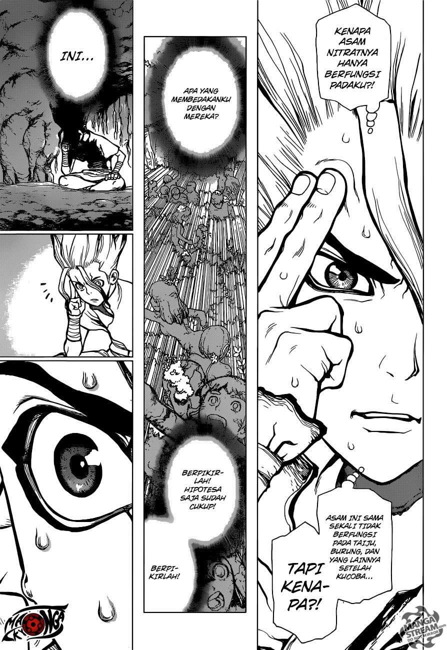 Dr. Stone Chapter 14 - halaman 13