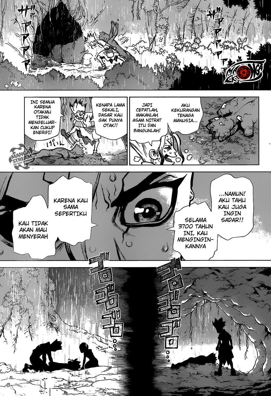 Dr. Stone Chapter 14 - halaman 17
