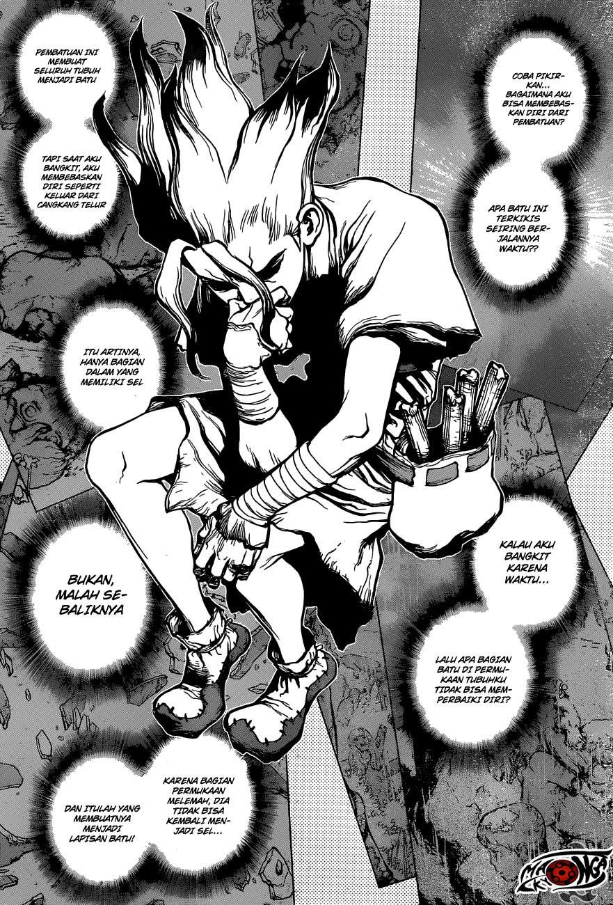 Dr. Stone Chapter 14 - halaman 8