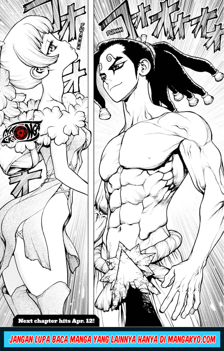 Dr. Stone Chapter 146 - halaman 17
