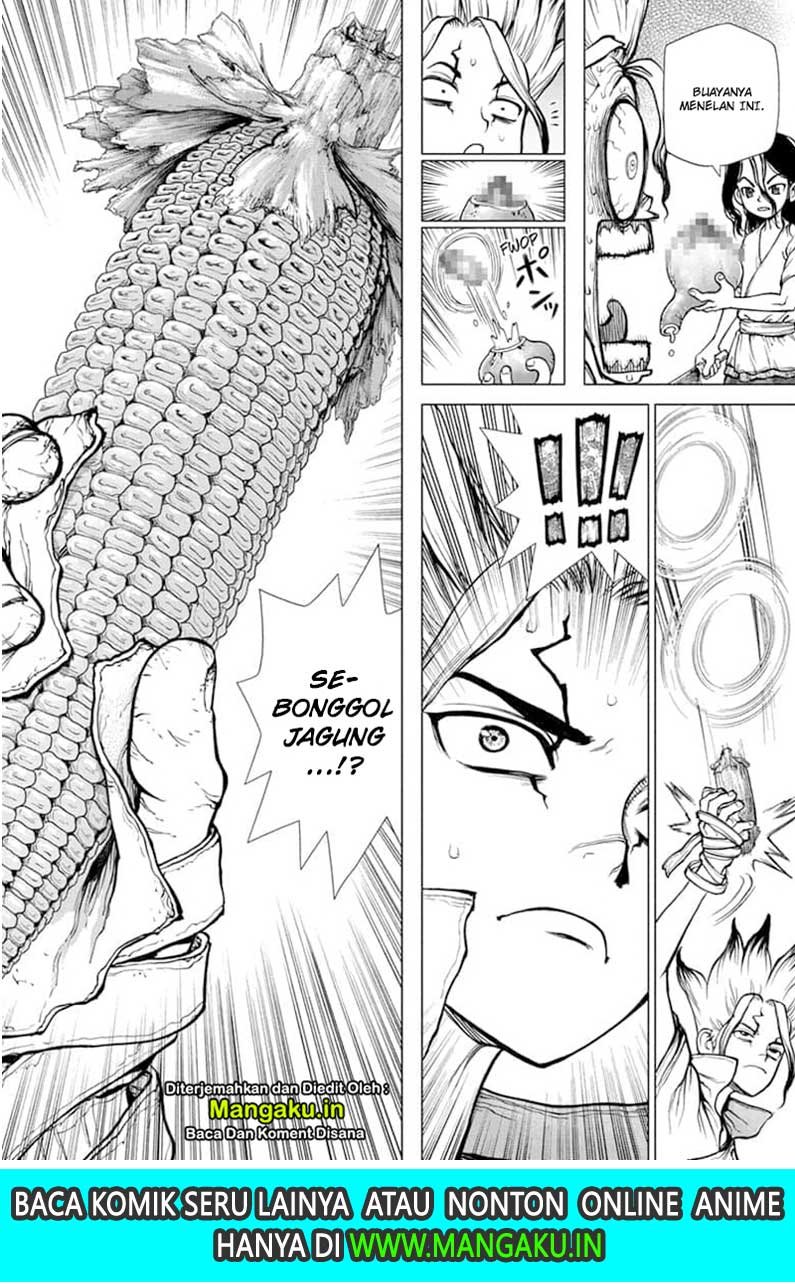 Dr. Stone Chapter 148 - halaman 19