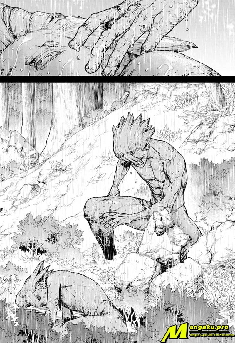 Dr. Stone Chapter 157 - halaman 11