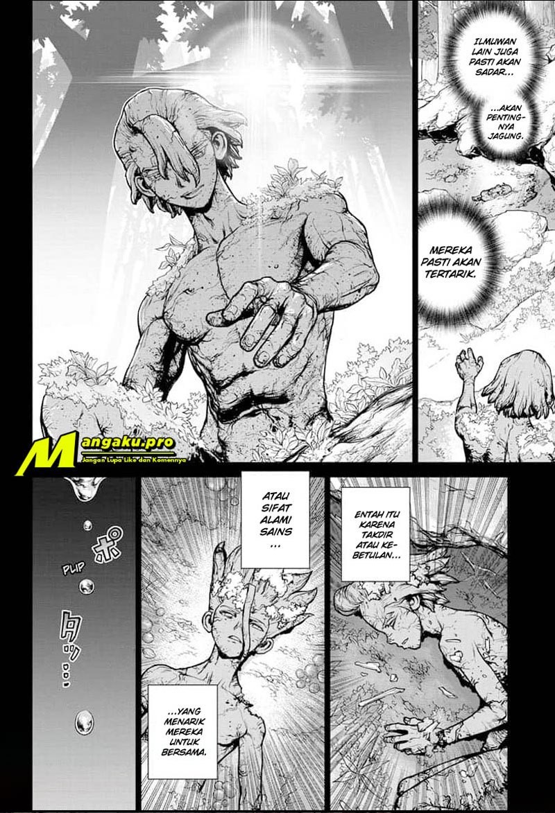Dr. Stone Chapter 157 - halaman 15