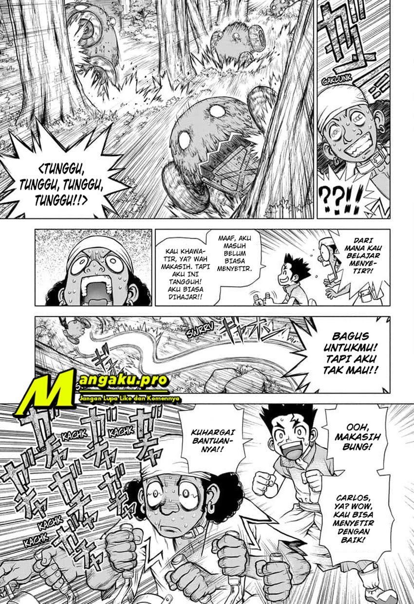 Dr. Stone Chapter 162 - halaman 14
