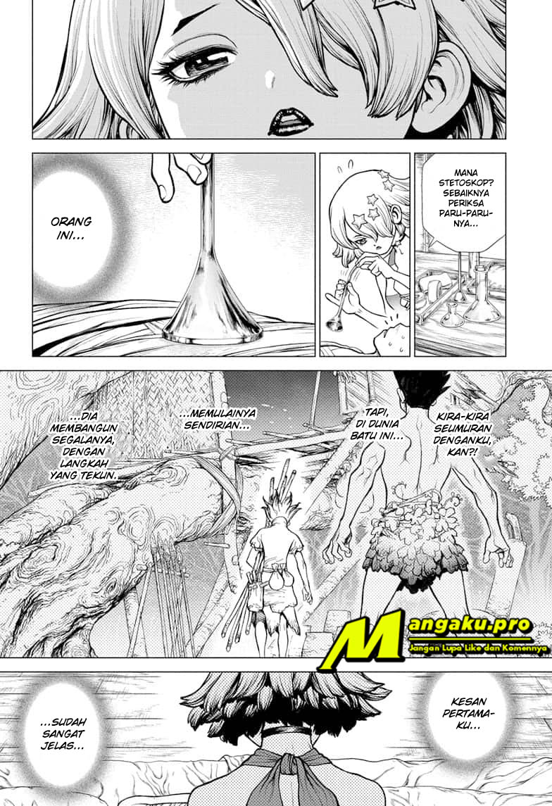 Dr. Stone Chapter 163 - halaman 5