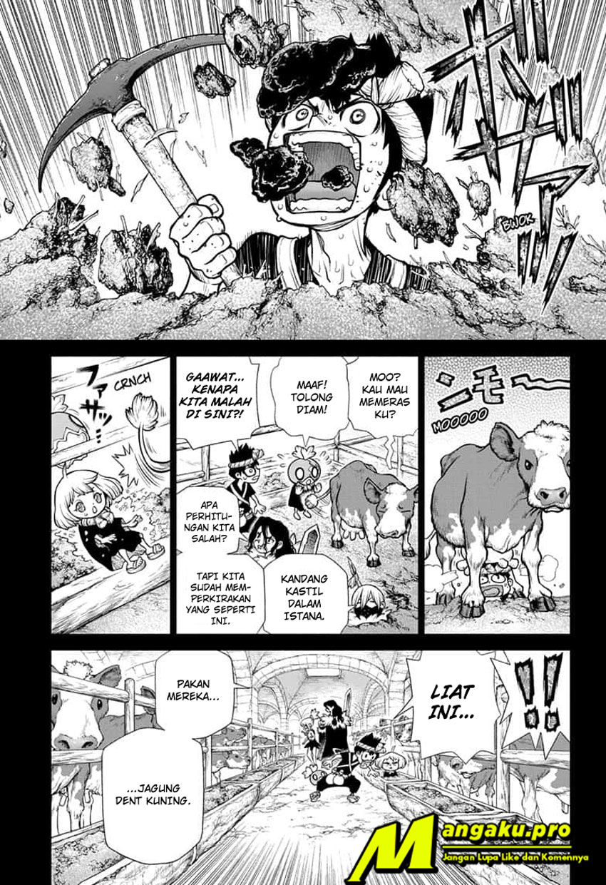 Dr. Stone Chapter 167 - halaman 4